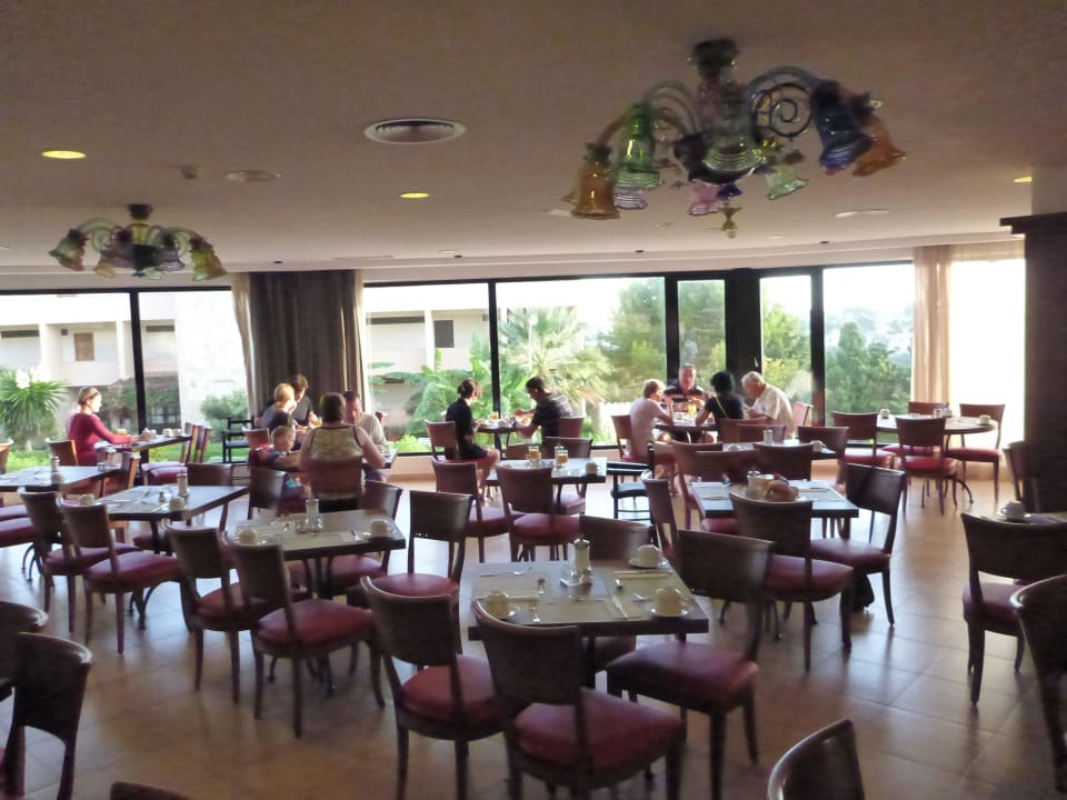 Saal blau punta reina