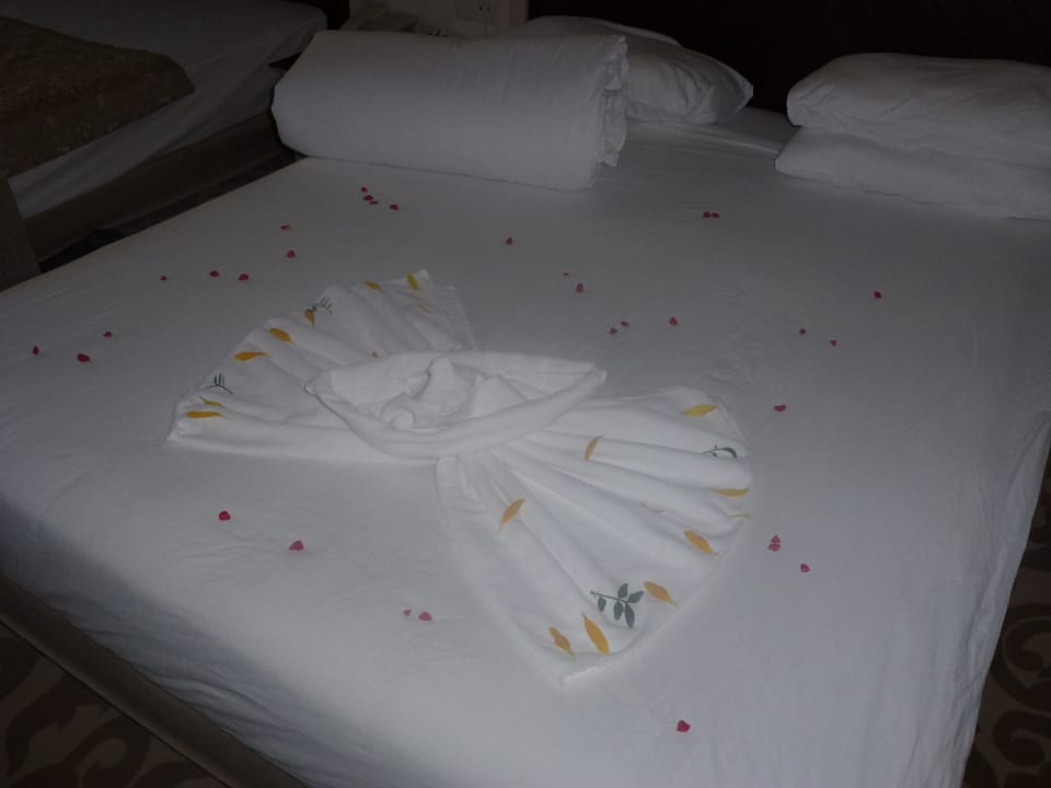 Danke Fatma Zimmer 3102 Aydinbey Kings Palace & Spa