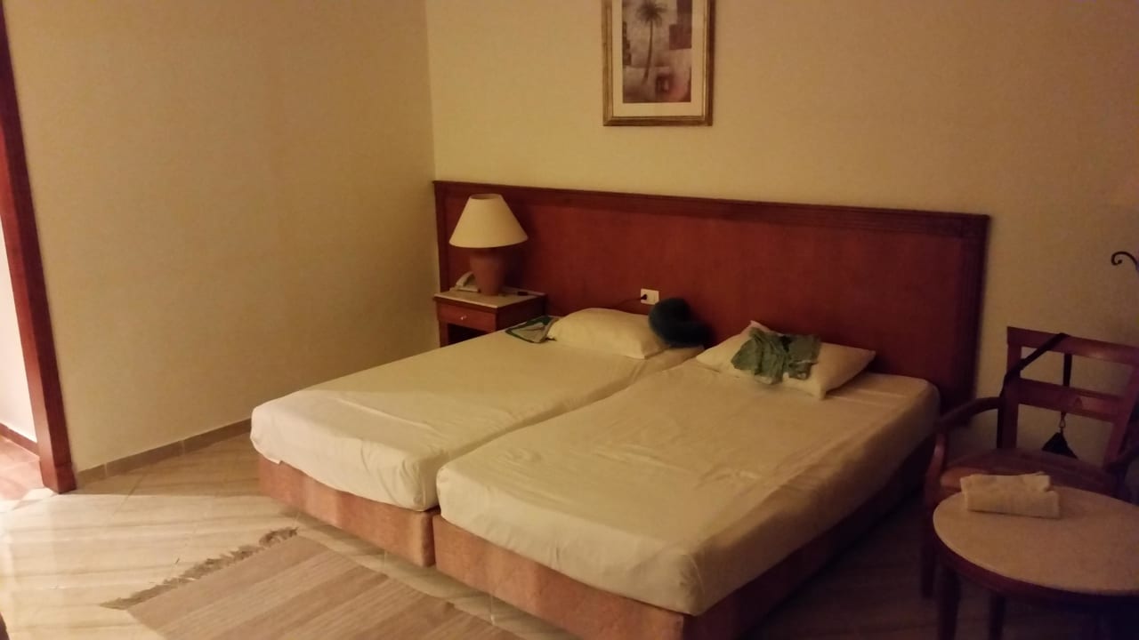 Zimmer Malikia Resort Abu Dabbab