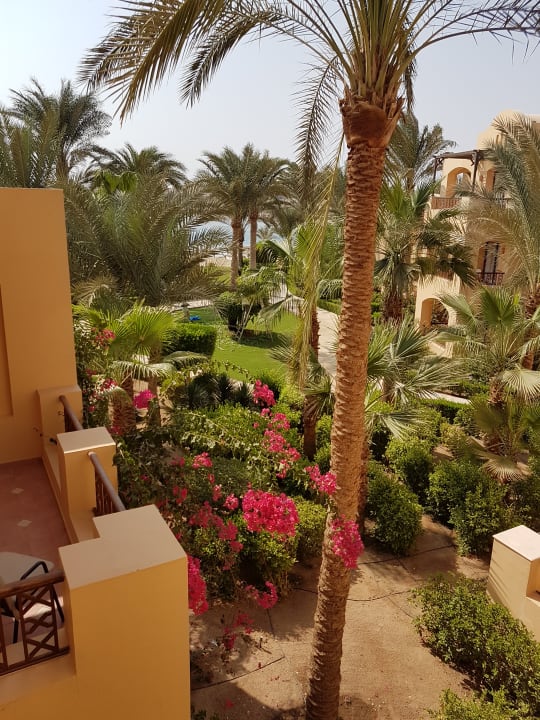 Gartenanlage Steigenberger Coraya Beach - Adults only