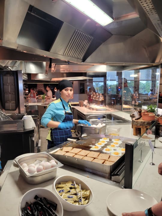 Gastro PALOMA Perissia