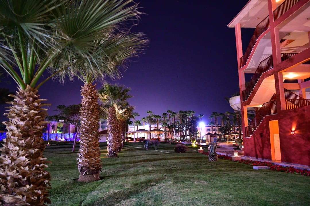 Gartenanlage Beach Albatros Resort