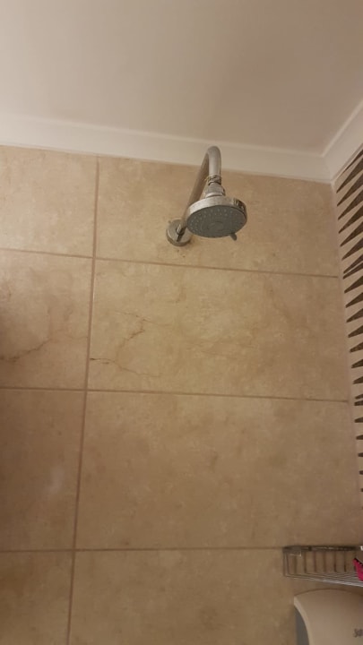 Zimmer Well Palace Side