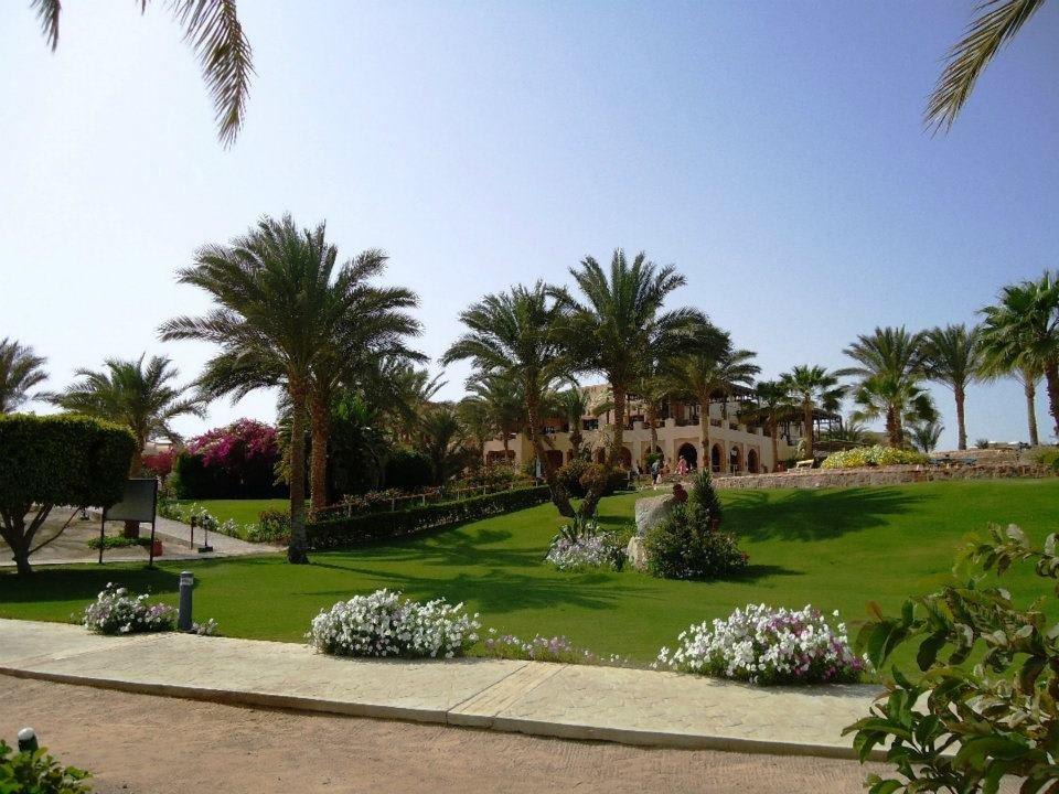 Ausblick vom Strand Richtung Hotelanlage Steigenberger Coraya Beach - Adults only