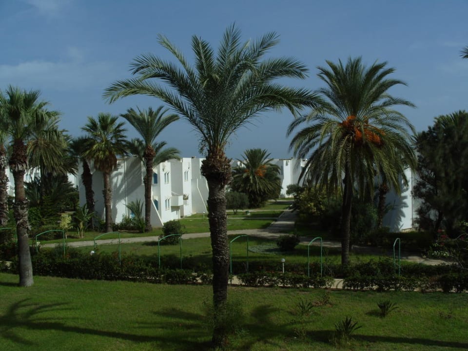 Widok z naszego balkonu Ruspina Beach Resort