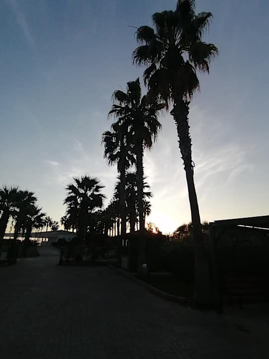 Strand VONRESORT Golden Beach