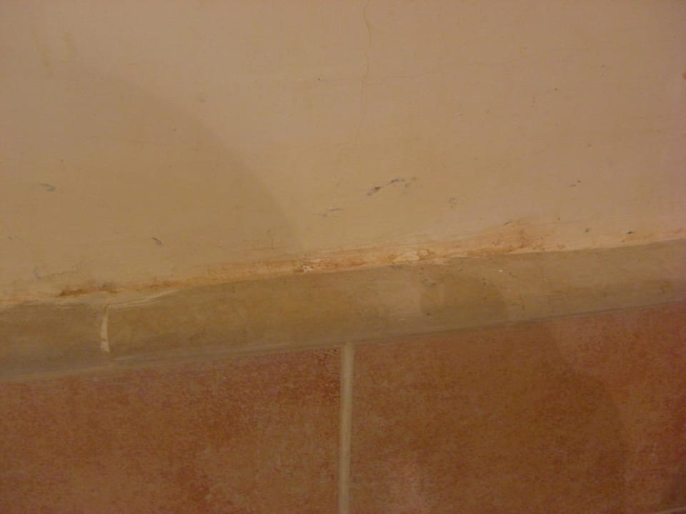 Wand der Dusche Vincci Safira Palms