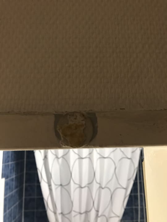 Zimmer Apart Hotel Freiburg