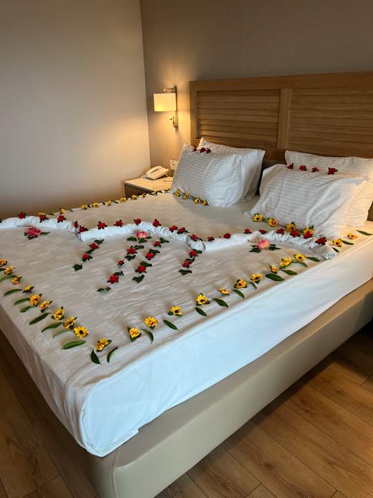 Zimmer Süral Saray Hotel