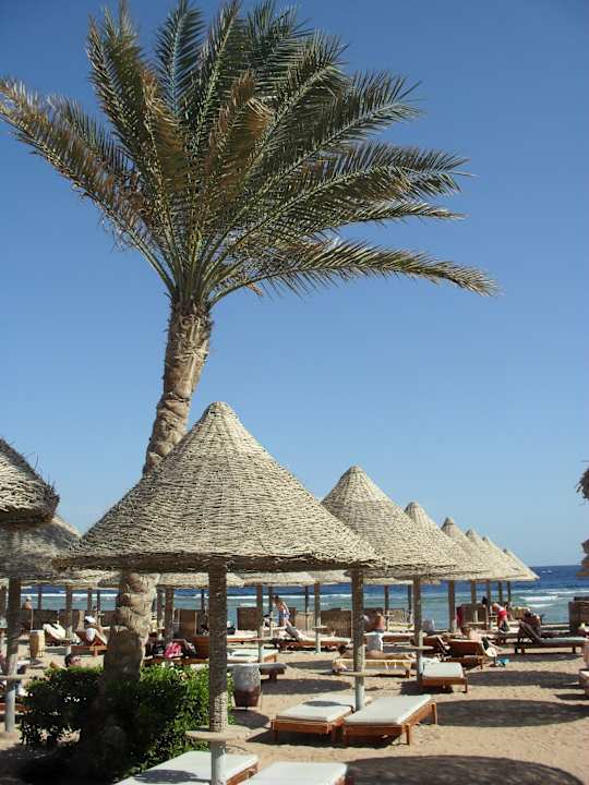 Plaża Sharm Grand Plaza Resort
