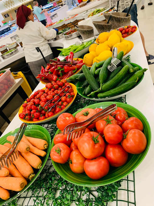 Gastro Adalya Elite Lara