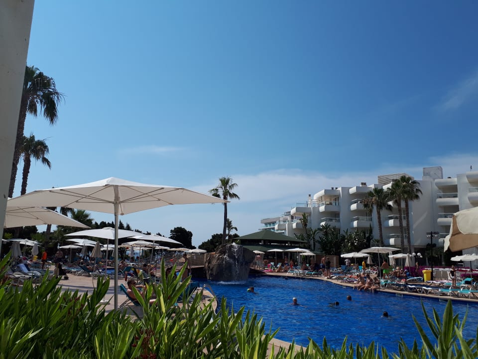 Pool Hotel Tropic Garden