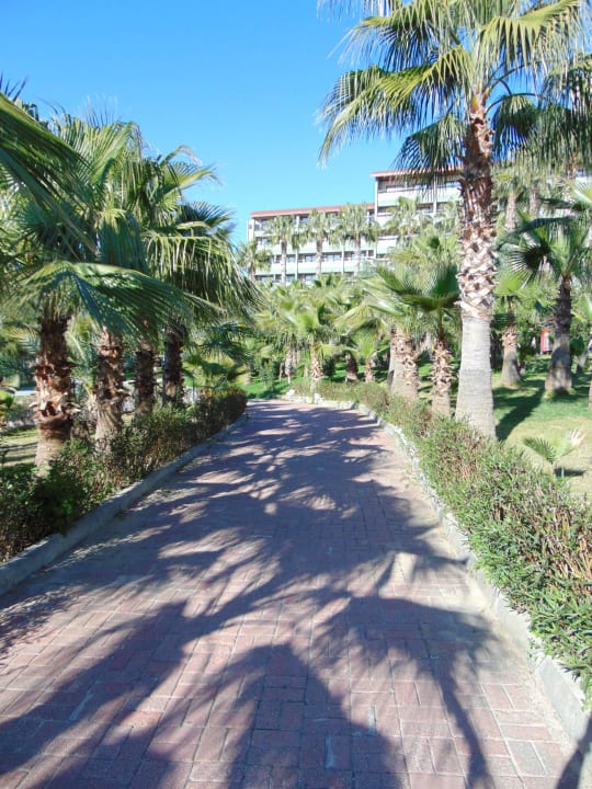 Weg zum Corolla Strand Seaden Corolla Hotel