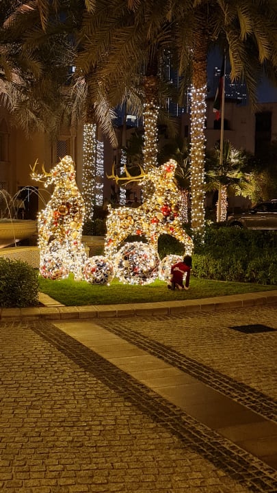 Gartenanlage Palace Downtown