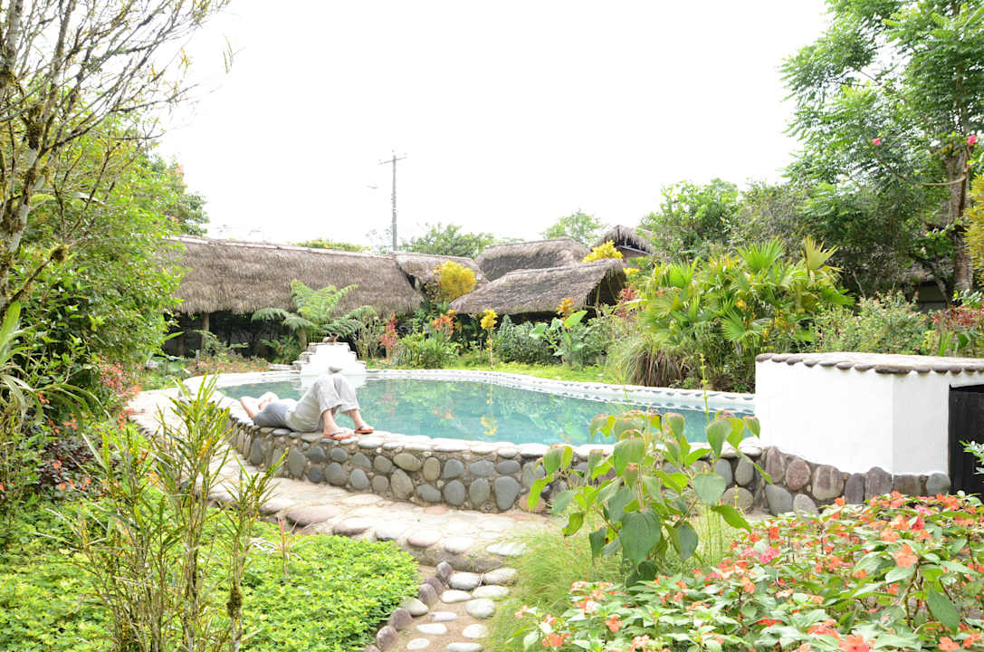 Pool Guesthouse France-Amazonia