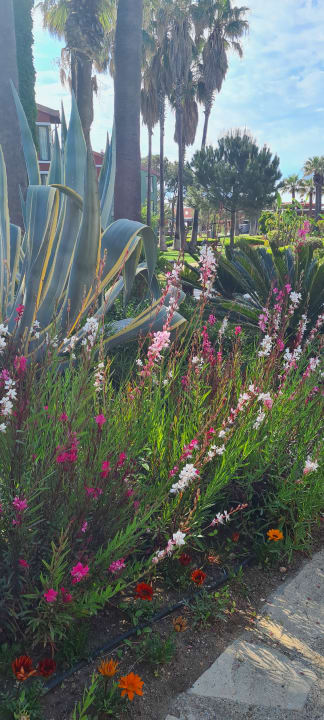 Gartenanlage Megasaray Club Belek