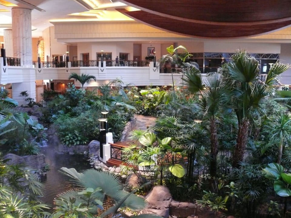 Eine Oase Grand Hyatt Dubai