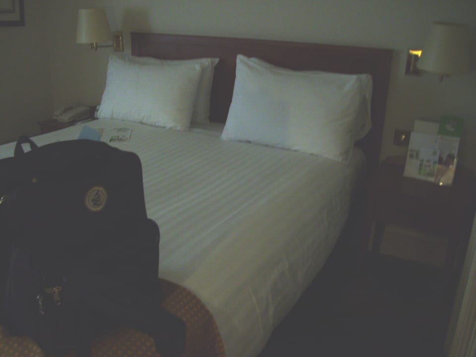 Zimmer Hotel Holiday Inn Basingstoke