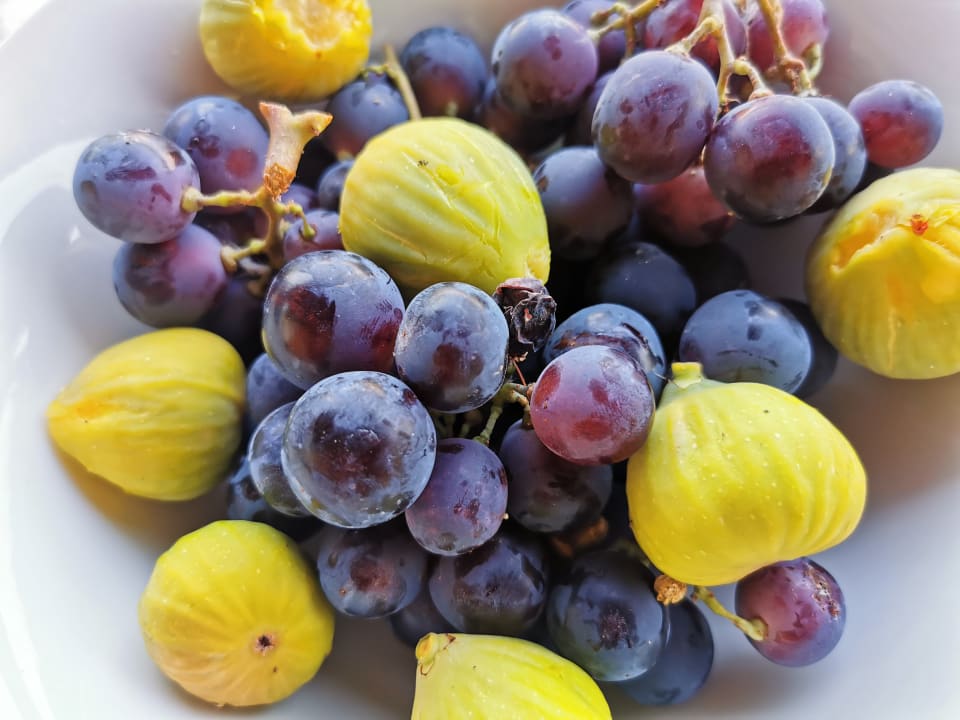 Sonstiges Hotel Kolios View