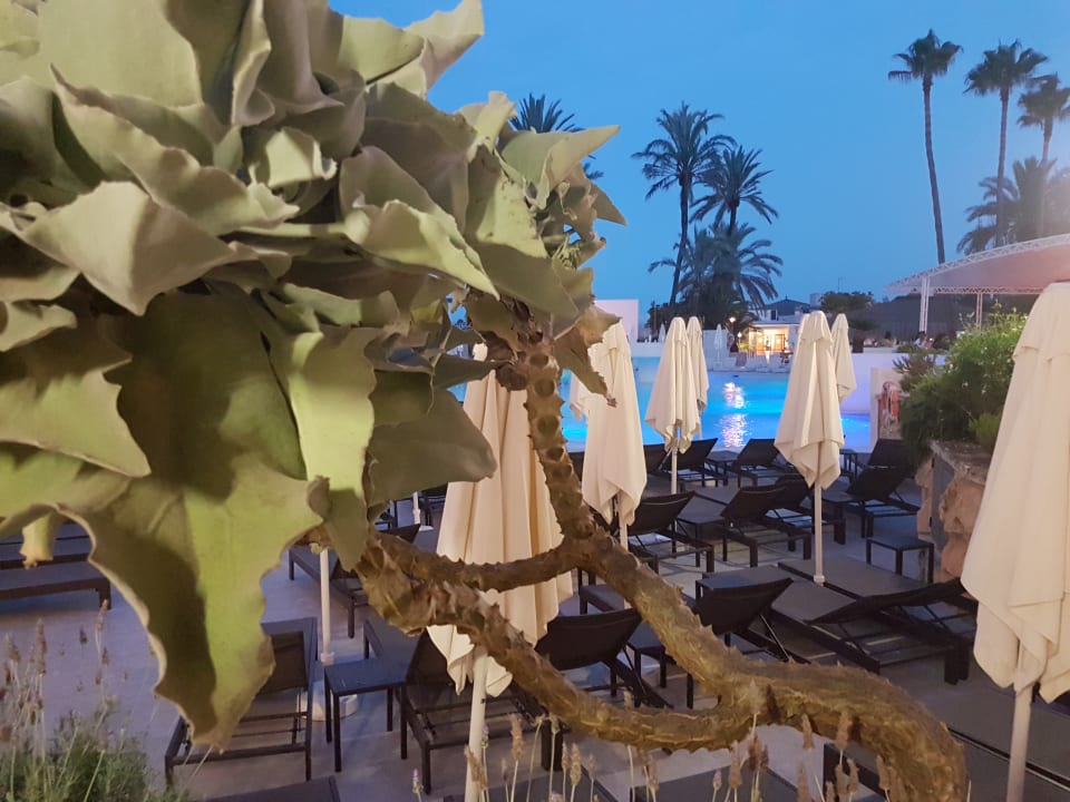 Pool BG Hotel Rei del Mediterrani Palace