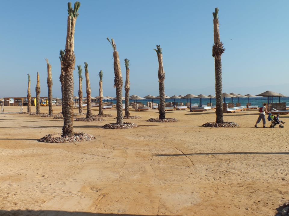 Widok na plażę Hotel Swiss Inn Dream Resort Taba