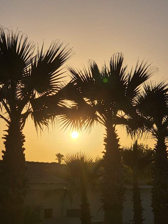 Sonstiges Can Garden Resort