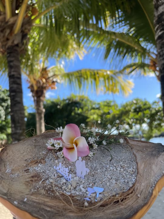 Gartenanlage Lagoon Attitude - Adults only