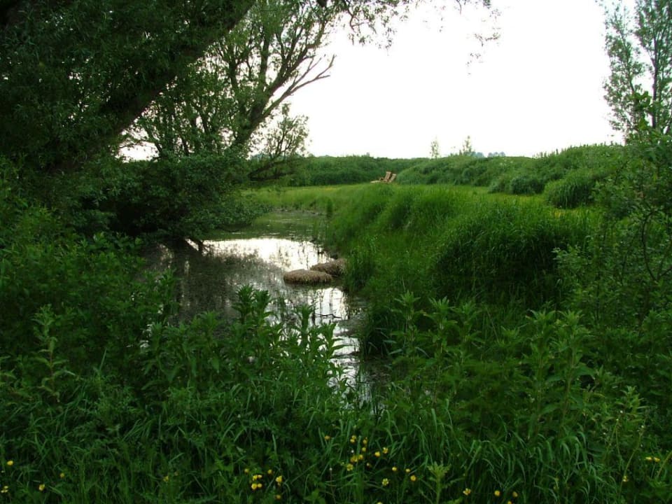 Zwei Liegestühle und schönstes Wetter! NAKUK | Das Friesische Landhotel