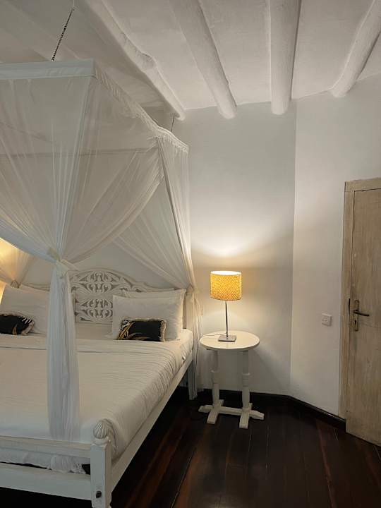 Zimmer Lion In The Sun