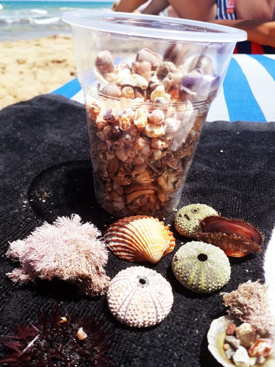 Strand Apartments Zorbas Island