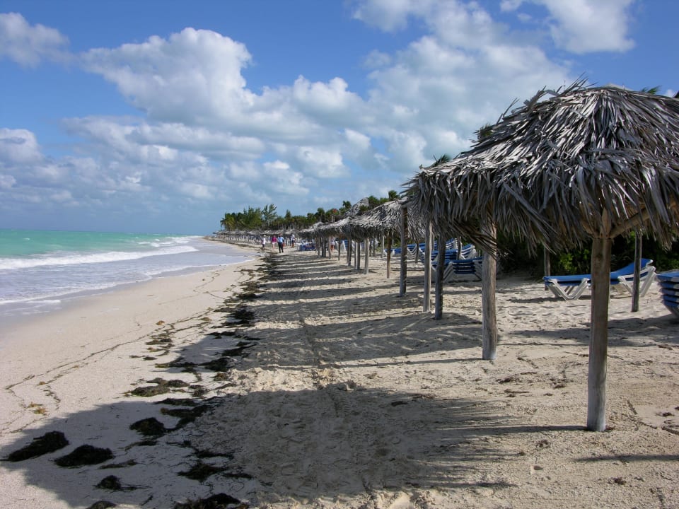 Strand gegen Osten  Hotel Melia Cayo Coco - Adults only