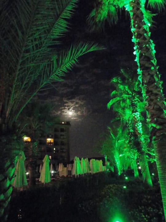 Garden by night Selectum Family Comfort Side
