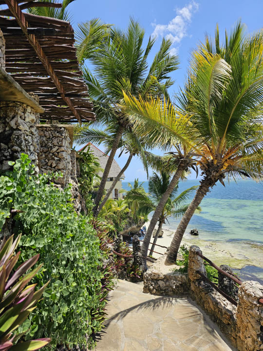 Gartenanlage Bahari Beach Hotel