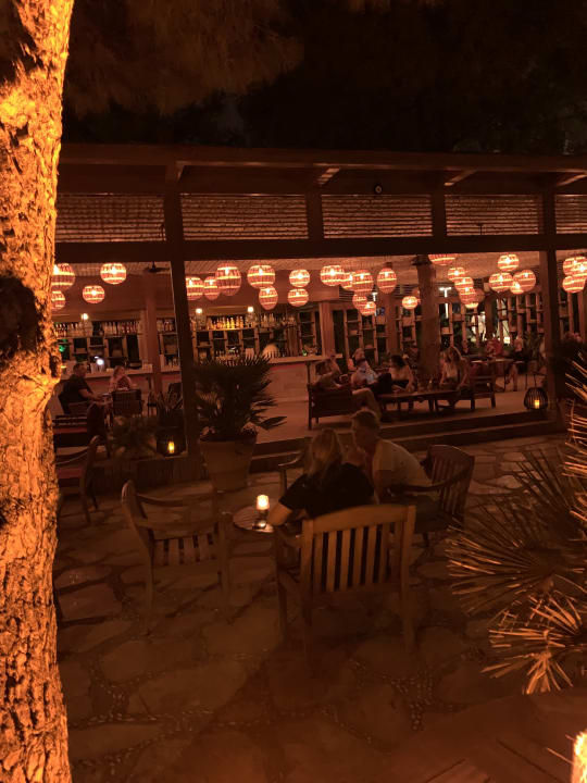 Gastro Arum Barut Collection