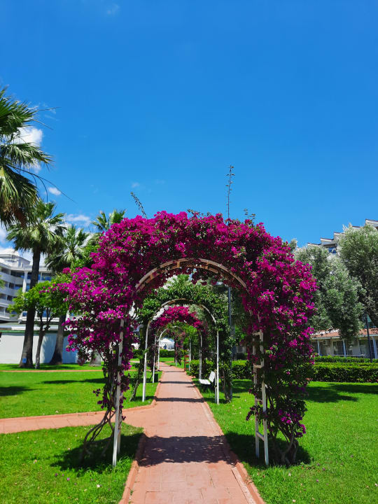 Gartenanlage Seher Kumköy Star Resort & Spa