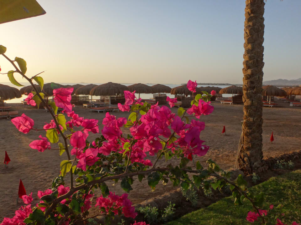 Strand Sentido Caribbean World Soma Bay