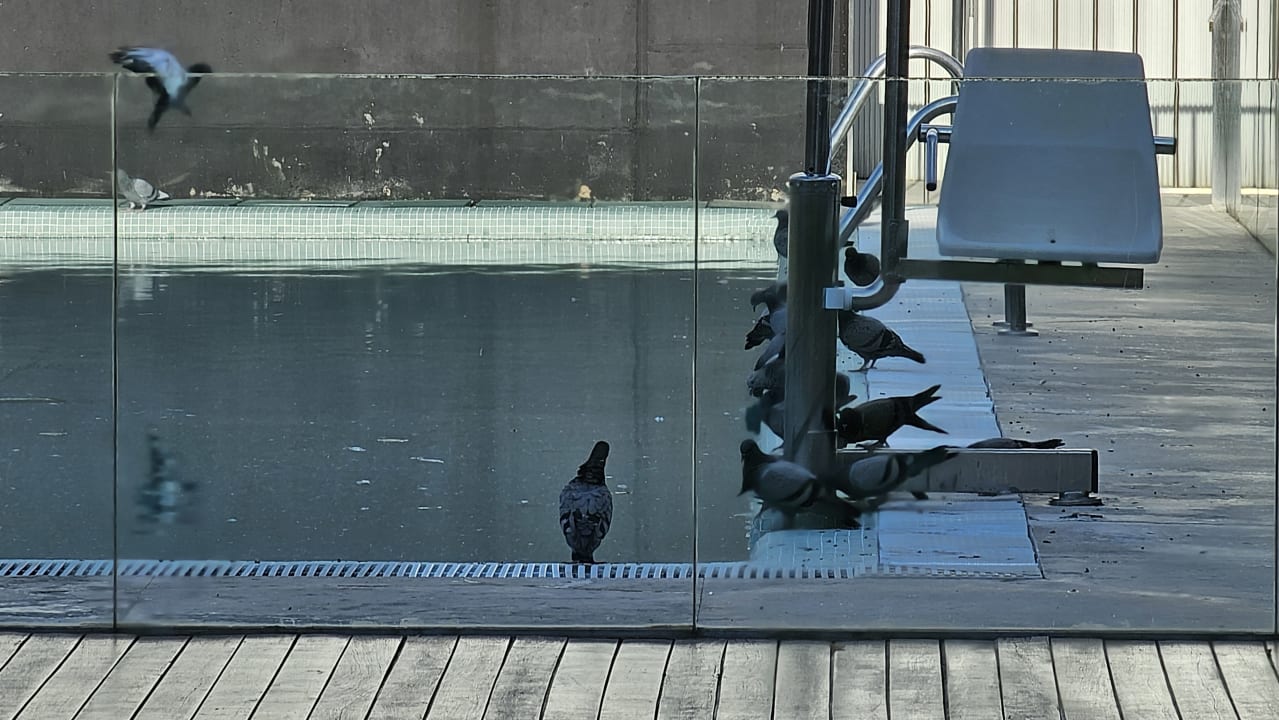 Pool Hotel Parador de Alcalá de Henares