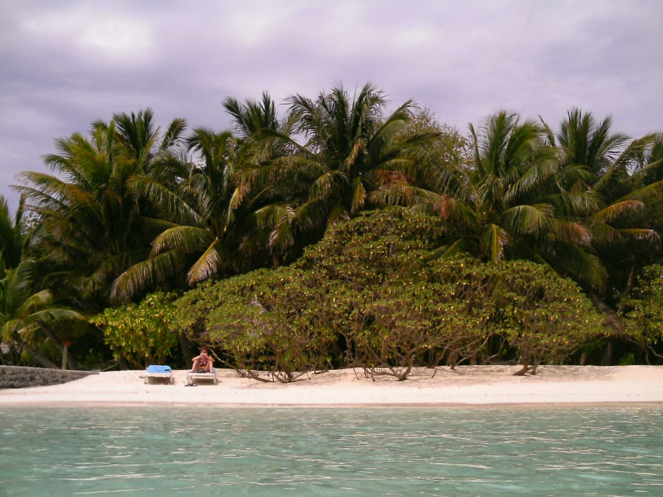 Hotel Veligandu Island Resort Veligandu Maldives Resort Island