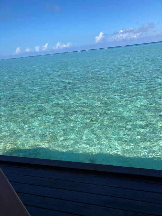 Ausblick Summer Island Maldives