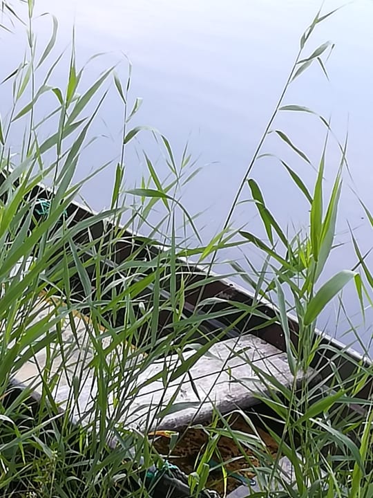 Ausblick Hotel Acamed Resort