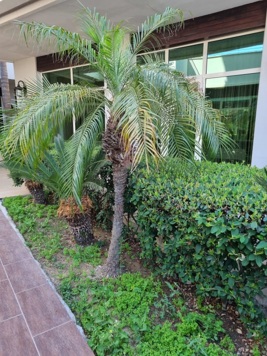 Gartenanlage Sunis Evren Beach Resort Hotel & Spa