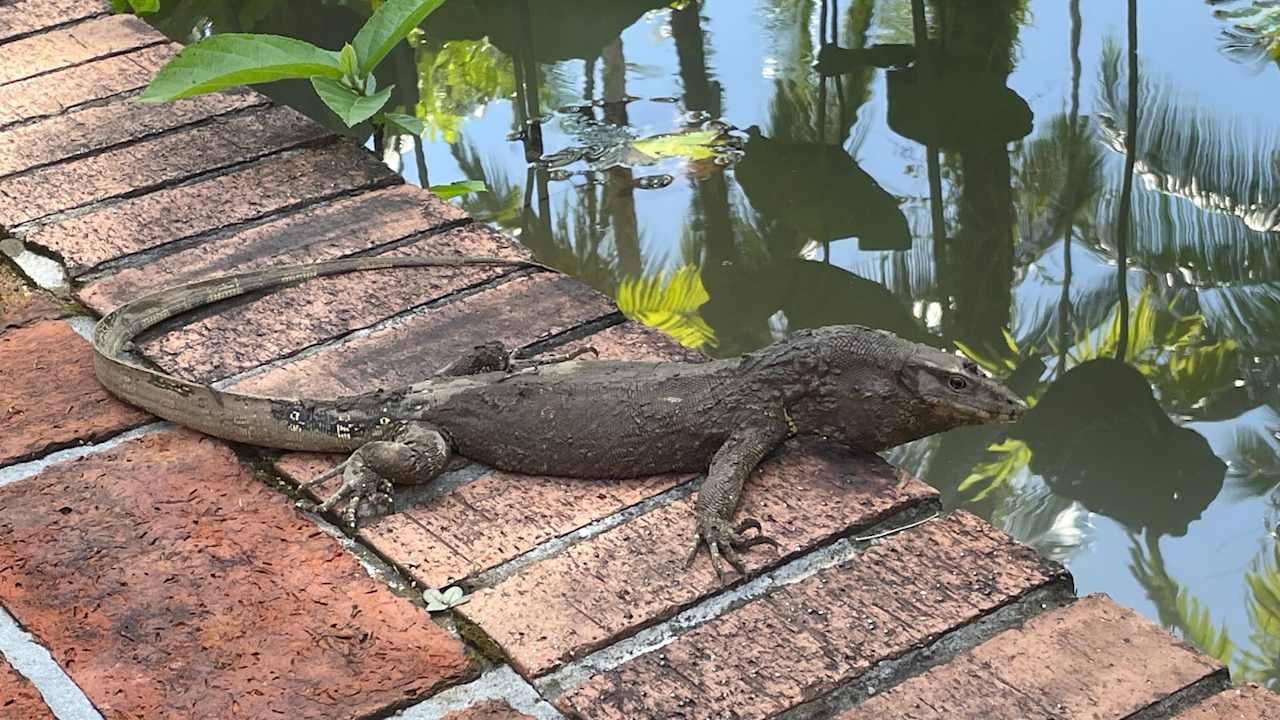 Außenansicht Khaolak Bhandari Resort & Spa