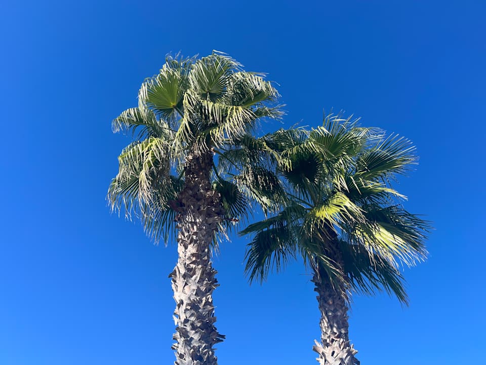 Sonstiges Marinda Garden Aparthotel