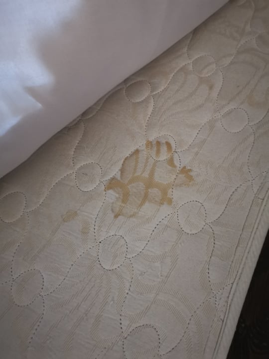 Zimmer Hotel Caves Beach Resort (Adults Only)