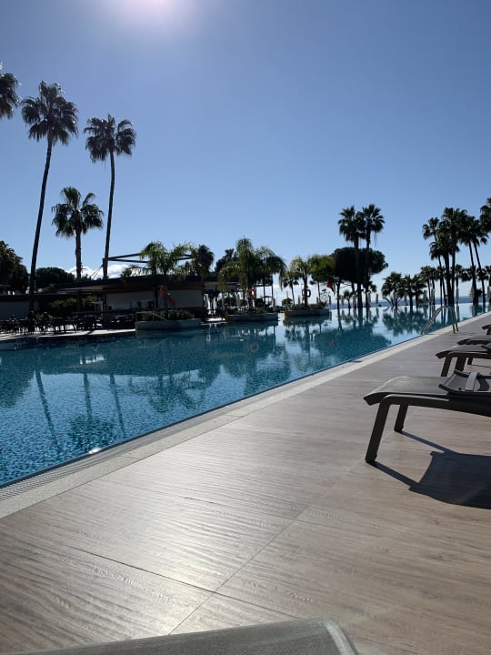 Pool Acanthus Cennet Barut Collection