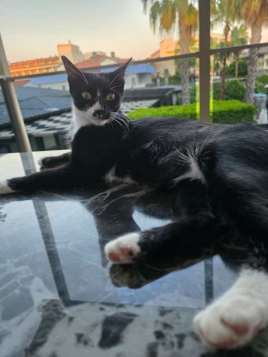 Sonstiges Grand Seker Hotel