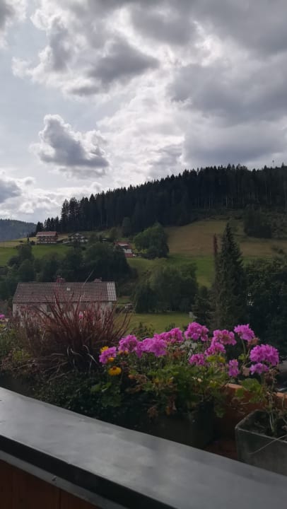 Ausblick Ferienhotel Ödenhof