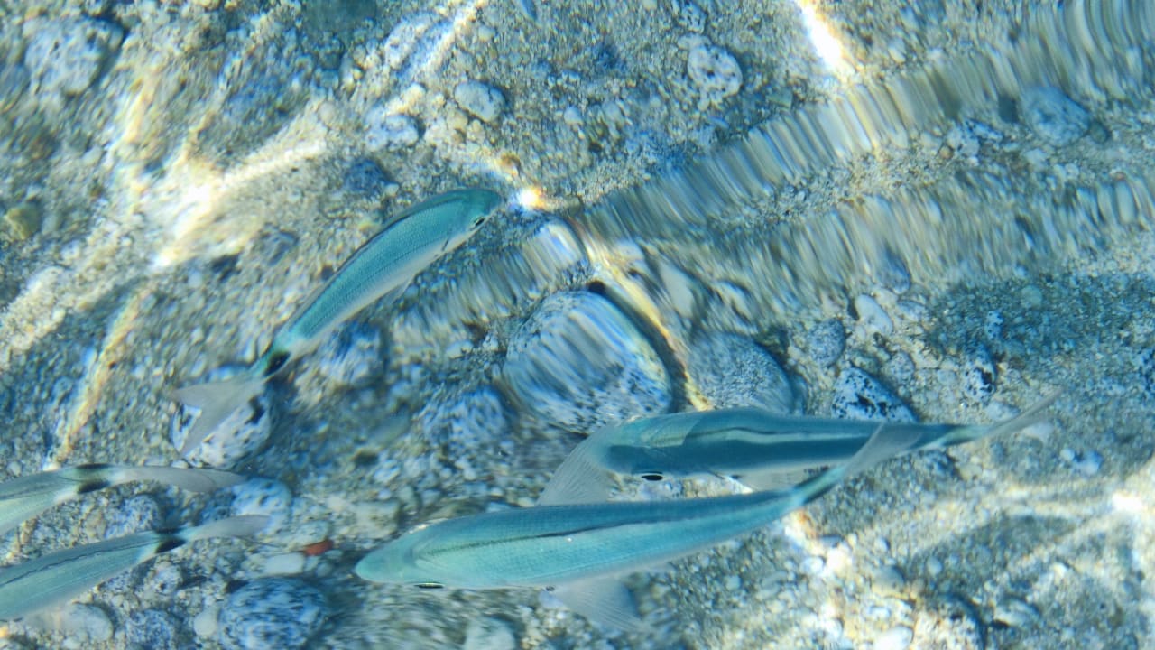 Strand Hotel Villaggio Il Gabbiano