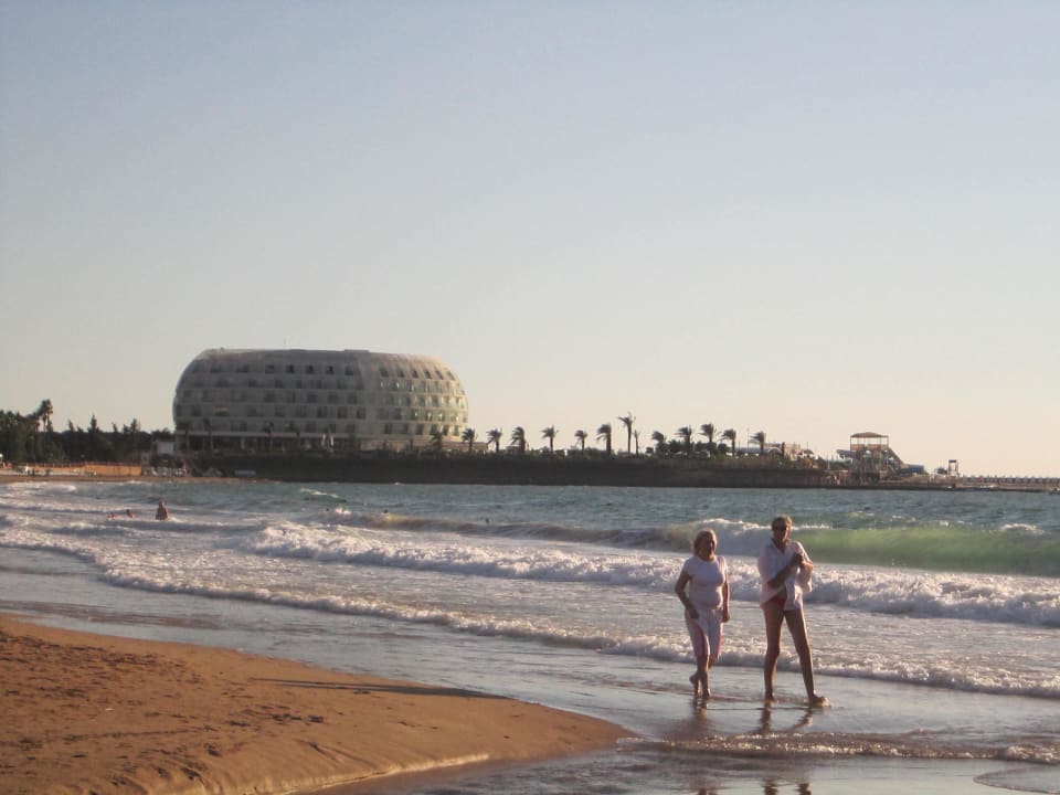 Sandstrand mit super Wellen My Home Resort
