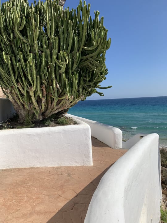 Ausblick Aldiana Club Fuerteventura